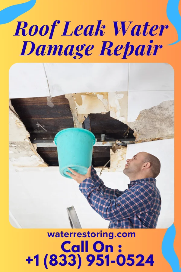 Roof Leak Water Damage Repair in Thornburg, IA
