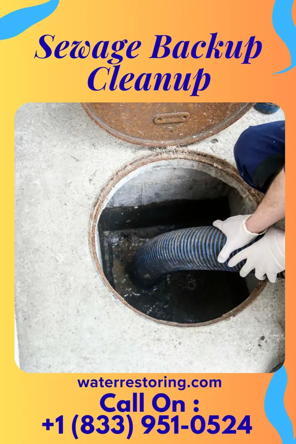 Sewage Backup Cleanup in Thornburg, IA